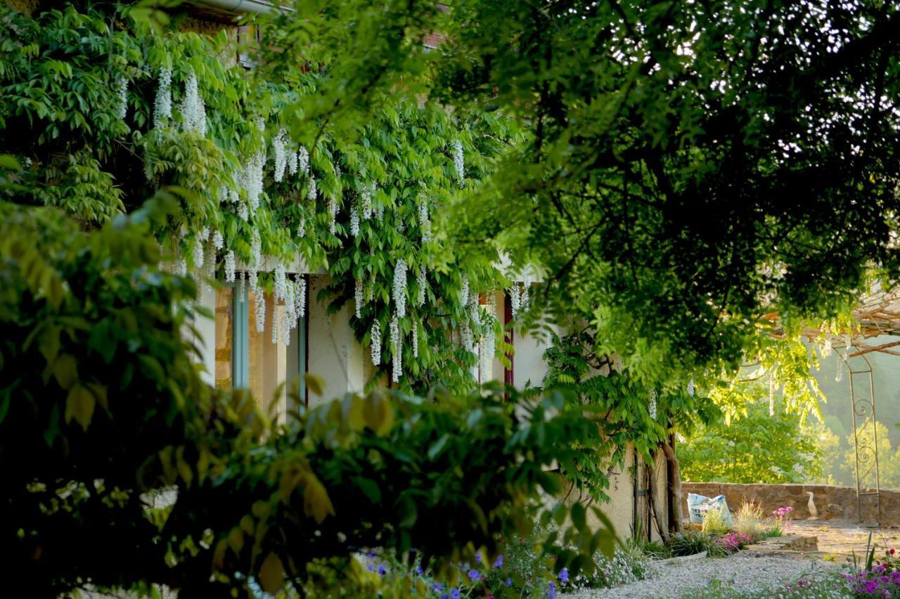 Chambres D'Hotes Secret Pyrenees Lasseube Eksteriør bilde