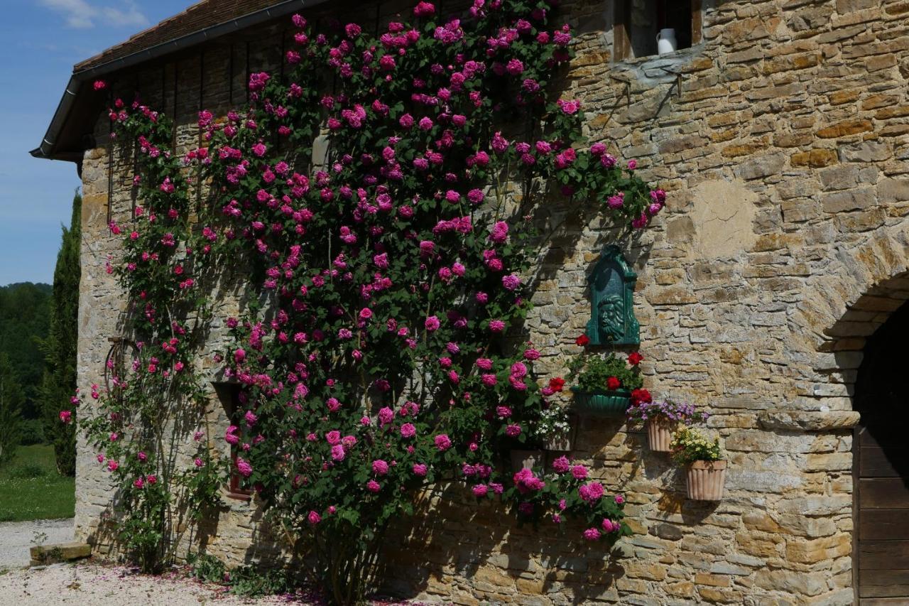 Chambres D'Hotes Secret Pyrenees Lasseube Eksteriør bilde